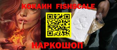 стаф Кинель