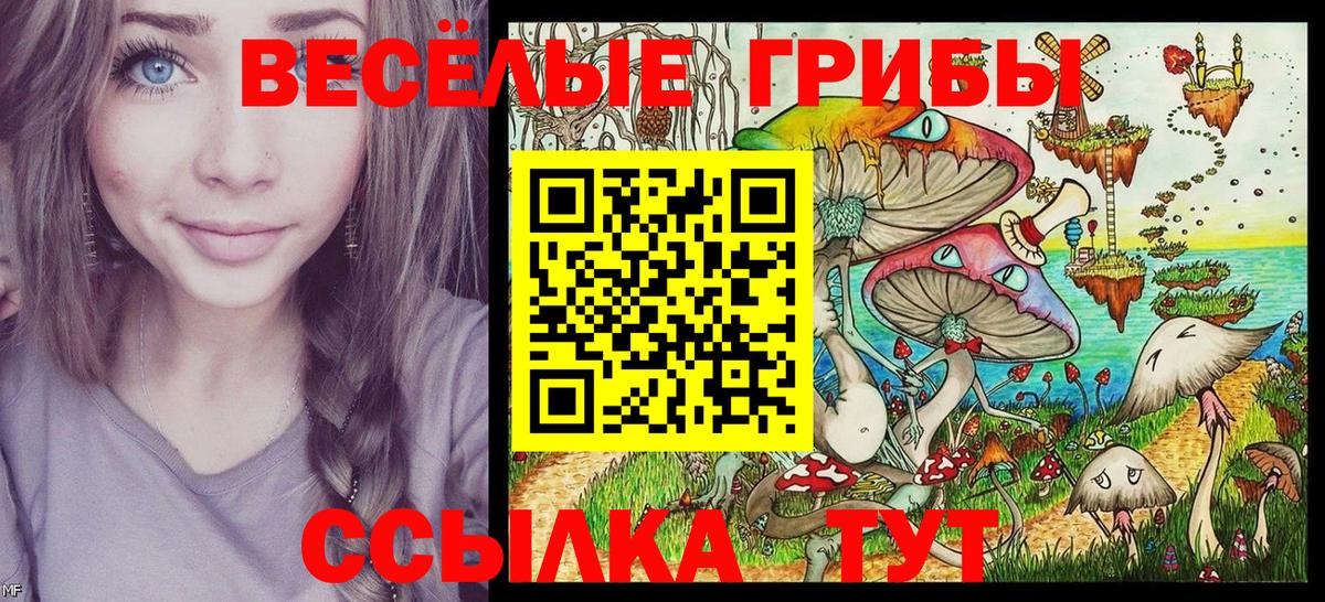 Псилоцибиновые грибы мицелий  сколько стоит  Кинель  Вход с VPN 